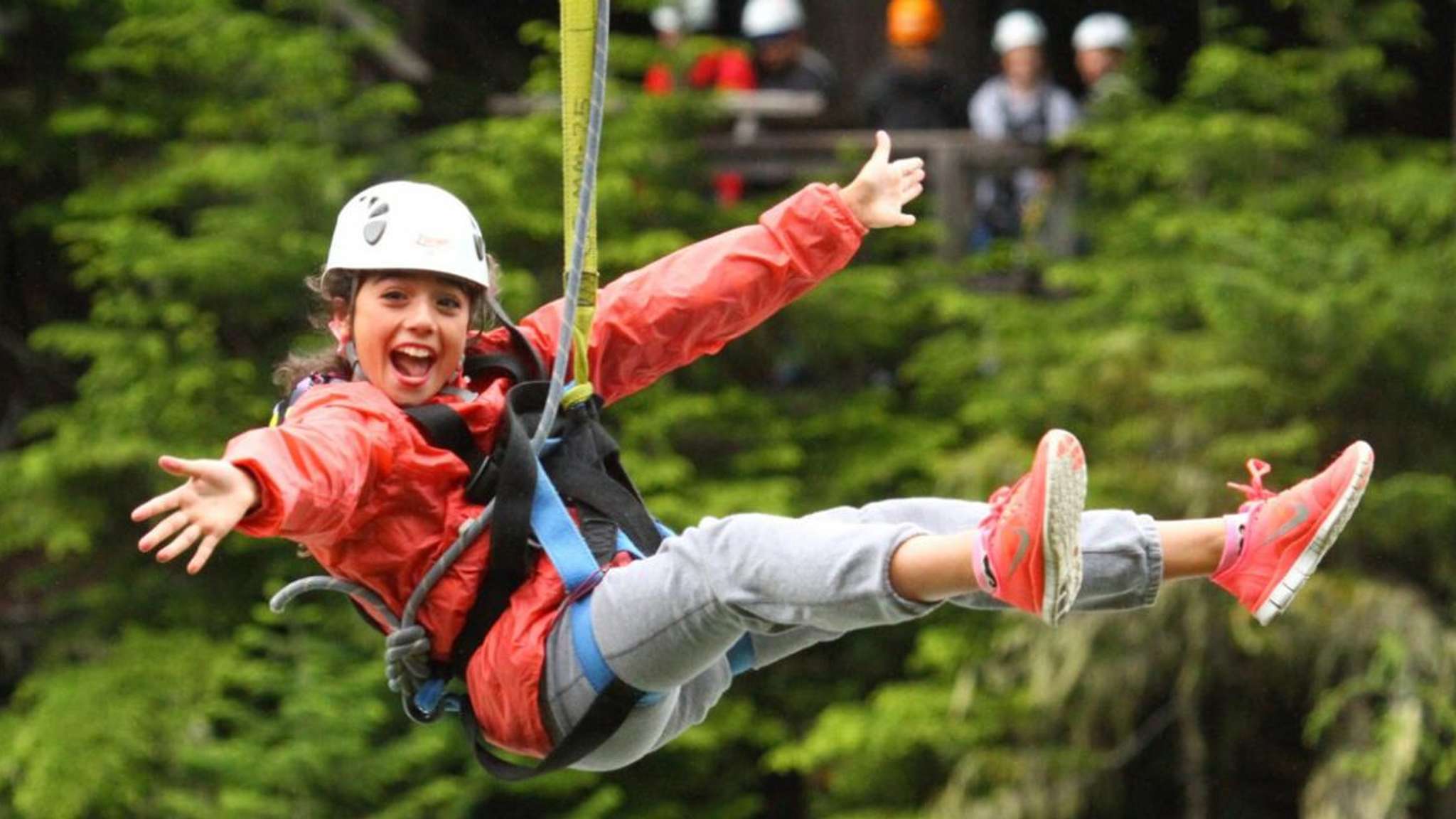 Things To Do Bear Tour by Ziptrek