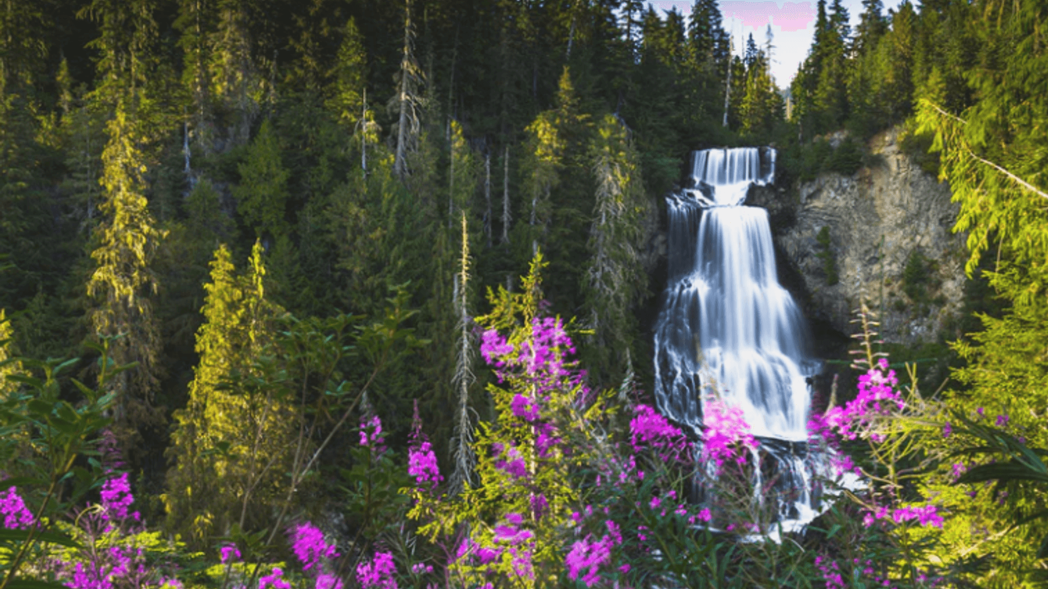 Things To Do Combo Safari Adventure