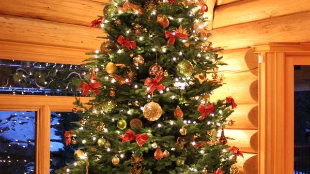 Things To Do Christmas Trees