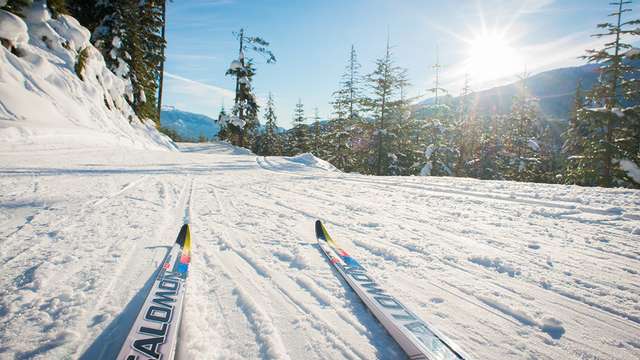 Thing To Do Winter Activities