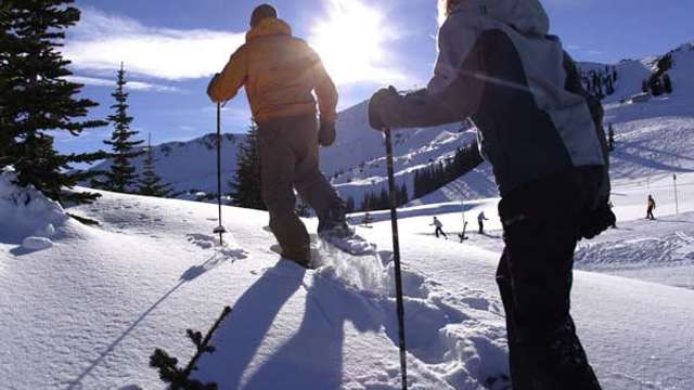 Things To Do Snowshoe Tours