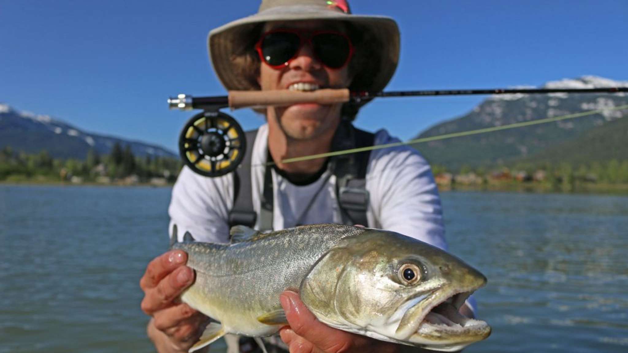 Things To Do Walk & Wade Tour