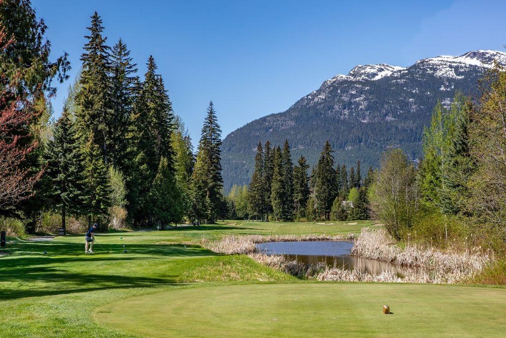 alt="Golfer teeing off at Nicklaus North Golf Course in Whistler against a backdrop of mountains."