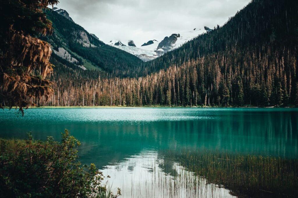 View of Joffre Lakes along scenic Whistler Hiking Trail 