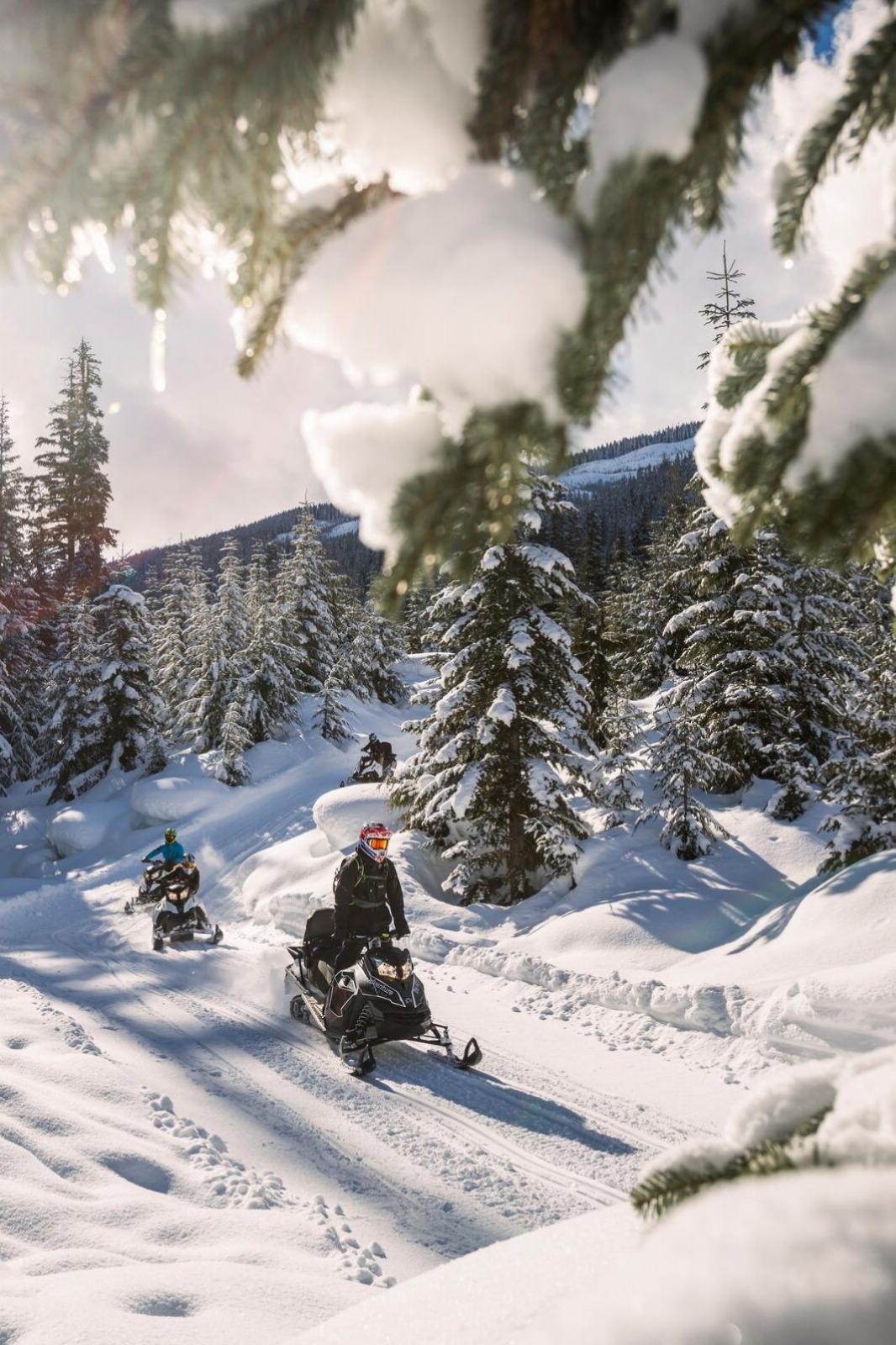 Guest snowmobiling through wide‑open alpine terrain near Whistler, floating over fresh powder with distant coastal peaks.