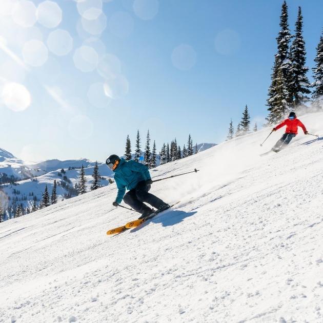 Whistler Blackcomb Day Pass and Ski Lift tickets