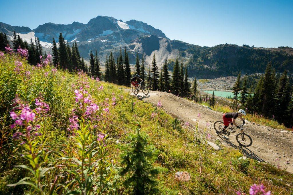 Mountain bikers riding a scenic trail at Whistler Mountain Bike Park, surrounded by wildflowers, alpine forest, and snow-capped peaks near an alpine lake.